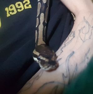 Meet your Posher, Alexandre